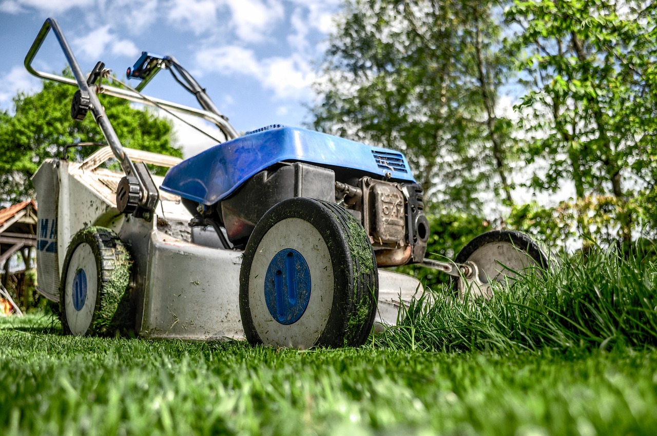 Eugene Landscaping Service