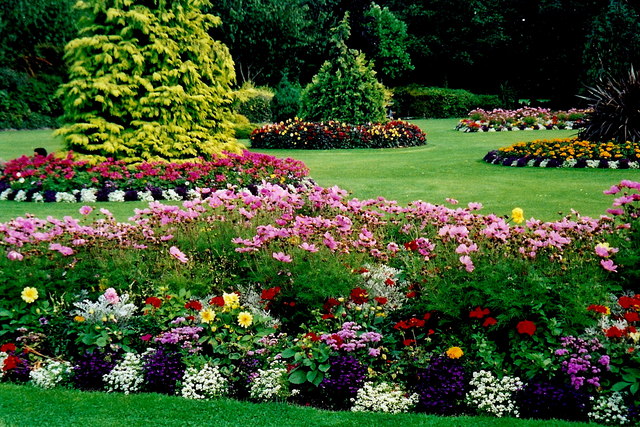 Eugene Landscaping Service